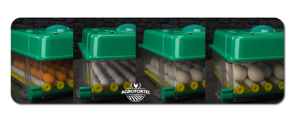 Snímka obrazovky 2026-01-28 o 16.09.54